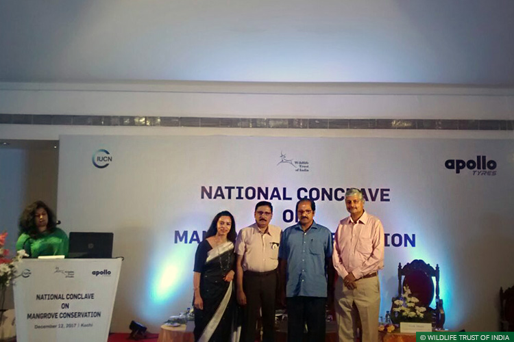 Kerala, Cochin, Mangroves, Mangrove Conservation, Mangrove Restoration, Kannur Kandal