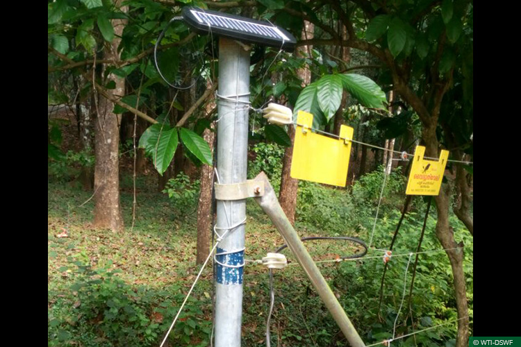 Kerala, Periyar Tiger Reserve, Rapid Action Projects, Sabarimala, Conflict Mitigation, WildWatch, Mobile App, Technology Tools, Tigers, Elephants