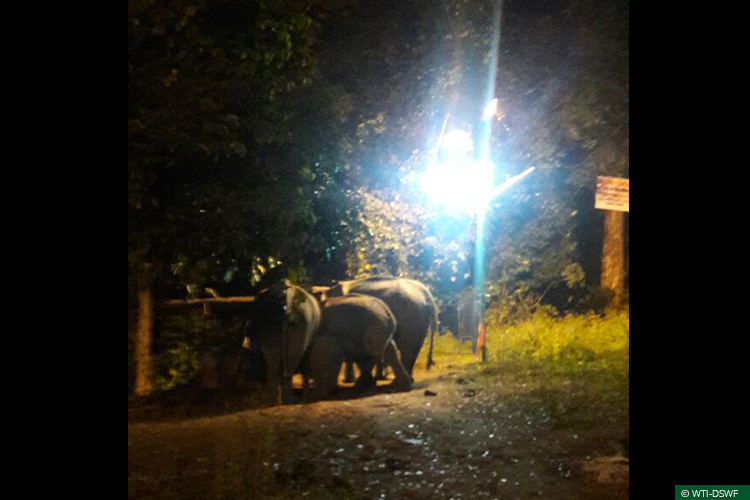 Kerala, Periyar Tiger Reserve, Rapid Action Projects, Sabarimala, Conflict Mitigation, WildWatch, Mobile App, Technology Tools, Tigers, Elephants