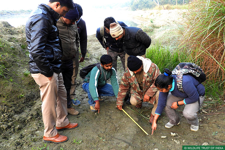 Uttar Pradesh, Dudhwa National Park, Conflict Mitigation, Training Workshop, Human Wildlife Conflict