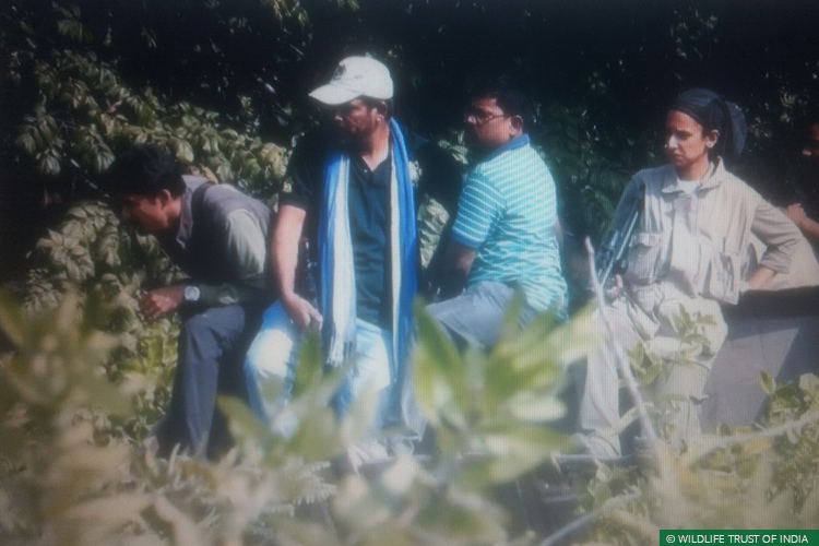 Maharashtra, Vidarbha, Vidarbha Tiger Project, Conflict Mitigation, Rapid Response Team, Tigers, Human Carnivore Conflict, Human Wildlife Conflict