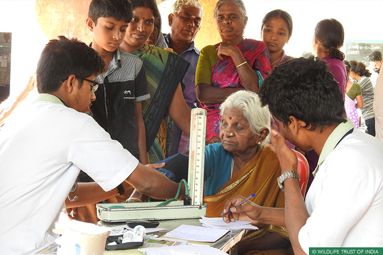 Karnataka, Tamil Nadu, Mudahalli, Mudahalli Elephant Link, Sathyamangalam Tiger Reserve, BRT Tiger Reserve, Right of Passage, 101 Corridors, Elephant Corridors, Elephants
