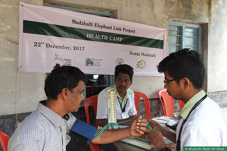 Karnataka, Tamil Nadu, Mudahalli, Mudahalli Elephant Link, Sathyamangalam Tiger Reserve, BRT Tiger Reserve, Right of Passage, 101 Corridors, Elephant Corridors, Elephants