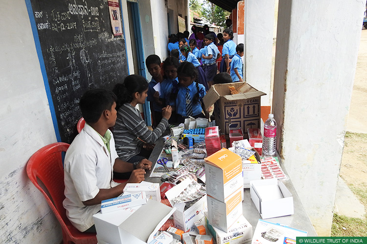 Karnataka, Tamil Nadu, Mudahalli, Mudahalli Elephant Link, Sathyamangalam Tiger Reserve, BRT Tiger Reserve, Right of Passage, 101 Corridors, Elephant Corridors, Elephants