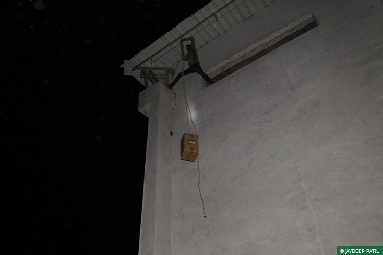 Eagle Owl, Wild Rescue & Rehabilitation, Brahmapuri, Vidarbha Tiger Project, Rapid Response Team