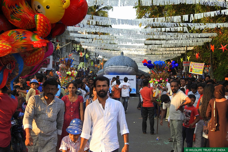 Cochin, Kerala, Awareness, Natural Heritage Campaigns, Marin Conservation, Whale Sharks, Whale Shark Conservation Project