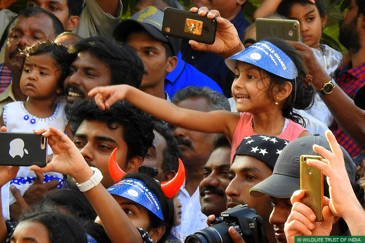 Cochin, Kerala, Awareness, Natural Heritage Campaigns, Marin Conservation, Whale Sharks, Whale Shark Conservation Project