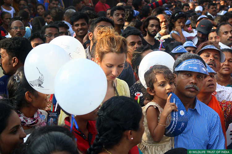 Cochin, Kerala, Awareness, Natural Heritage Campaigns, Marin Conservation, Whale Sharks, Whale Shark Conservation Project