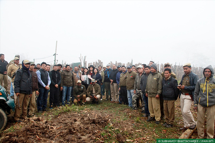 Assam, Greater Manas, Kaziranga National Park, Assam Floods, Wild Rescue