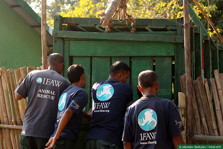 Assam, Greater Manas, Kaziranga National Park, Assam Floods, Wild Rescue
