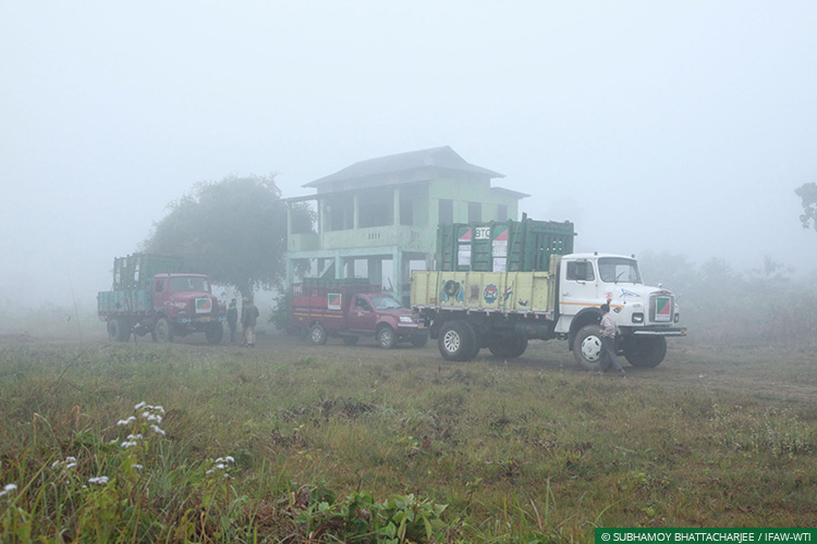 Assam, Greater Manas, Kaziranga National Park, Assam Floods, Wild Rescue