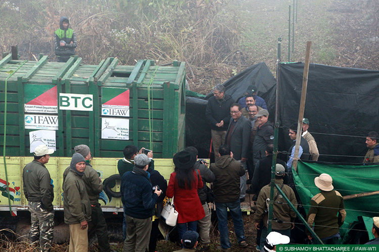 Assam, Greater Manas, Kaziranga National Park, Assam Floods, Wild Rescue