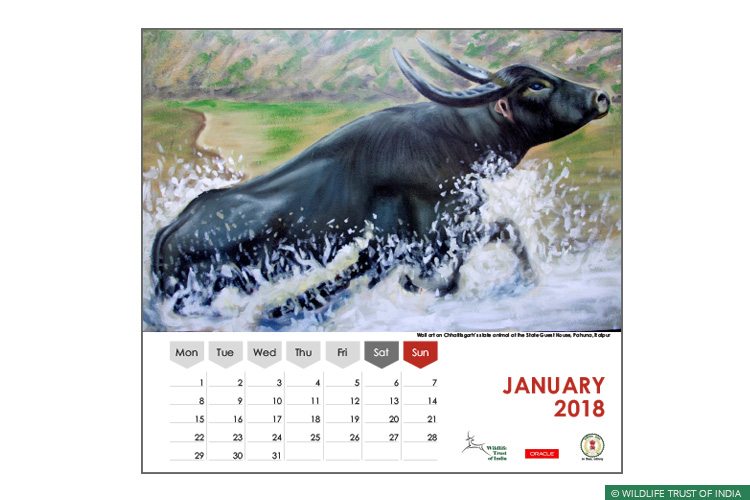 Asiatic Wild Water Buffalo, Central India Wild Buffalo Recovery Project, Chhattisgarh, Udanti Wildlife Sanctuary, Udanti-Sitanadi Tiger Reserve, Wall Painting, Natural Heritage Campaigns, Awareness for Conservation