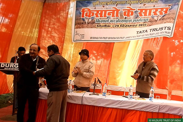 Species Recovery, Maharajganj, Uttar Pradesh, Sarus Crane, Wetlands, Communities for Conservation