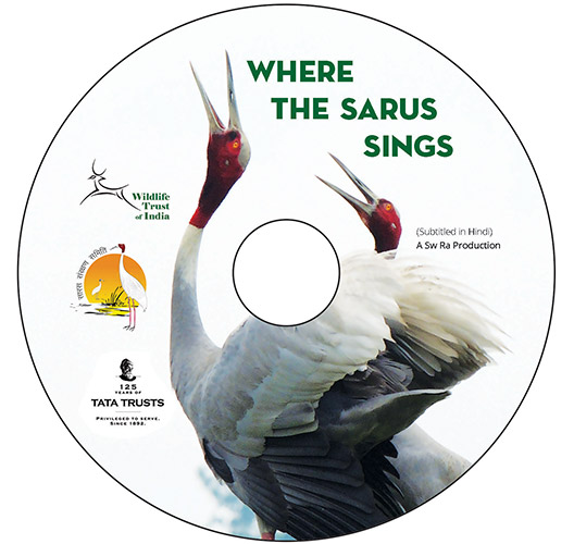 Sarus Crane, Sarus Crane Conservation Project, Wetlands, Uttar Pradesh