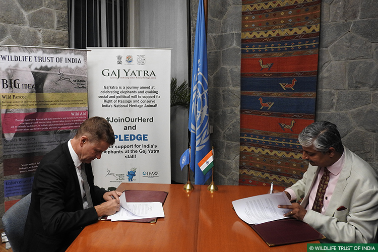 UNEP, UN Environment, Right of Passage, 101 Corridors, Gaj Yatra