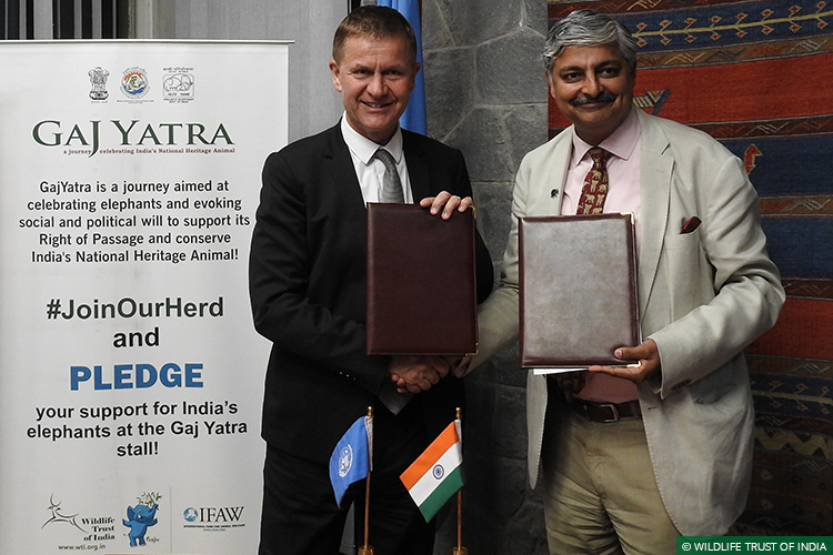 UNEP, UN Environment, Right of Passage, 101 Corridors, Gaj Yatra