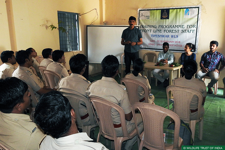 Maharashtra, Tipeshwar Wildlife Sanctuary, Tigers, Human-Carnivore Conflict, Conflict Mitigation