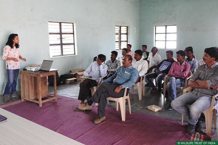 Maharashtra, Tipeshwar Wildlife Sanctuary, Tigers, Human-Carnivore Conflict, Conflict Mitigation