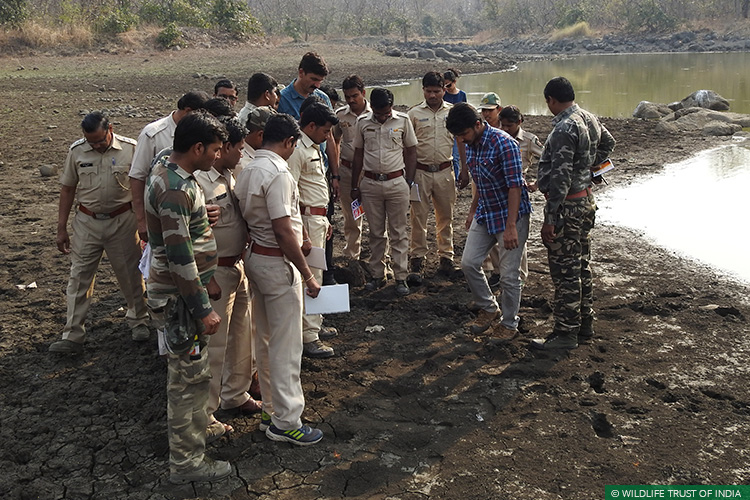 Maharashtra, Tipeshwar Wildlife Sanctuary, Tigers, Human-Carnivore Conflict, Conflict Mitigation