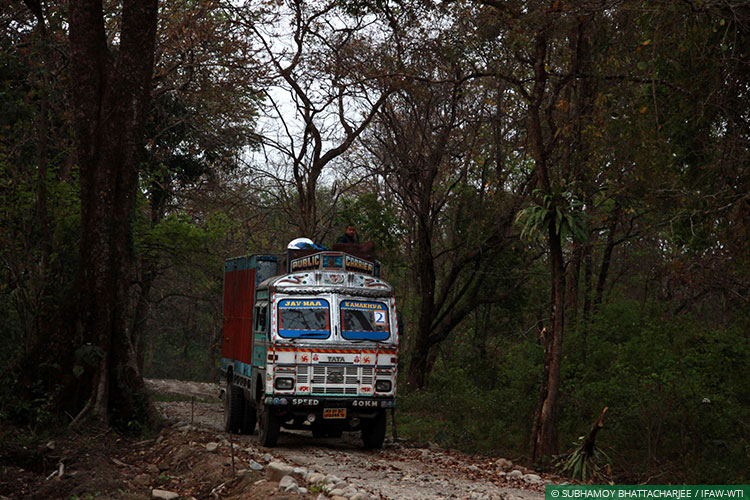 Assam, CWRC, Elephants, Asian Elephants, WIld Rescue and Rehabilitation, Translocation, Manas National Park, Kaziranga
