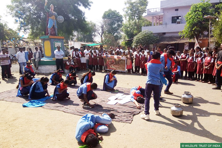 Maharashtra, Gondia, Vidarbha Tiger Project, Tigers, Navegaon-Nagzira, Street Theatre