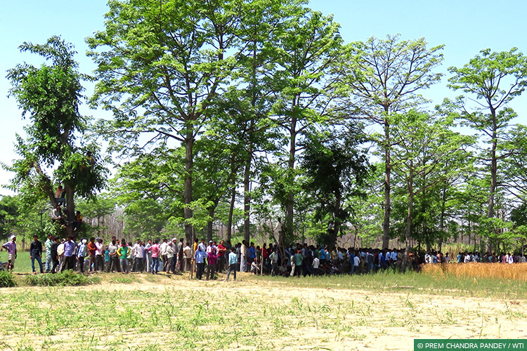 Uttar Pradesh, Dudhwa Tiger Reserve, Human-Carnivore Conflict, Terai Tiger Project, Conflict Mitigation, Tigers