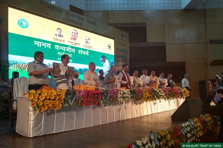 Uttar Pradesh, Dudhwa Tiger Reserve, Pilibhit Tiger Reserve, Katerniaghat Wildlife Sanctuary, Pilibhit Forest Division, Dudhwa National Park, Kishanpur Wildlife Sanctuary, Conflict Mitigation, Human-Wildlife Conflict, Human-Carnivore Conflict, Tigers, Leopards, Rapid Response Teams, Primary Response Teams, Conservation Action Report