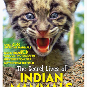 Secret lives of Indian Mammals by Vivek Menon