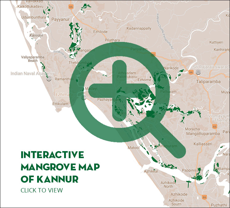 Mangrove Restoration Project, Interactive Map