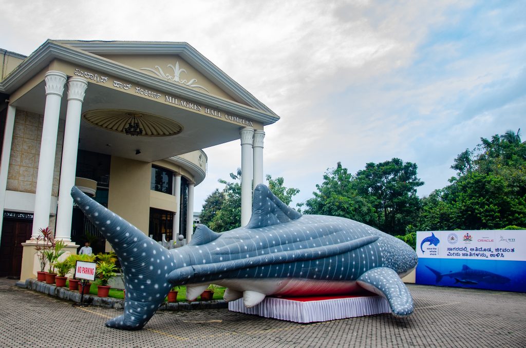 Inflatable Whale shark mascot at Milagres Hall Complex; Photo by Madhumay Mallik