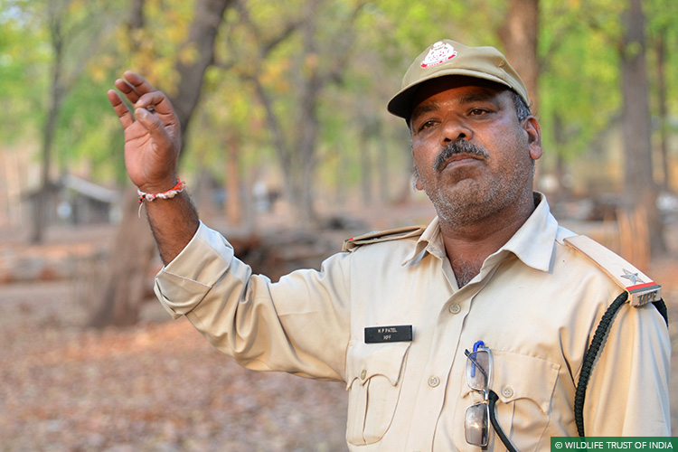 Madhya Pradesh, Wildlife Crime, Van Rakshak, Guardians of the Wild, Wildlife Crime Prevention, Forest Guards, Frontline Forest Staff