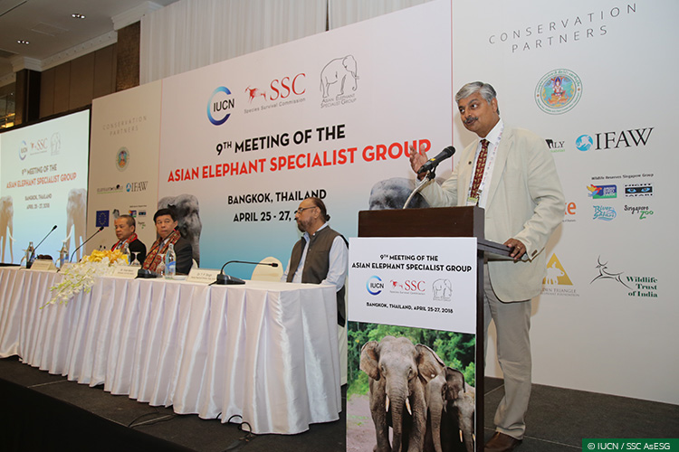International Conferences, Asian Elephants, Elephant Corridors, Human-Elephant Conflict, Illegal Wildlife Trade, Right of Passage, Asian Elephant Specialist Group