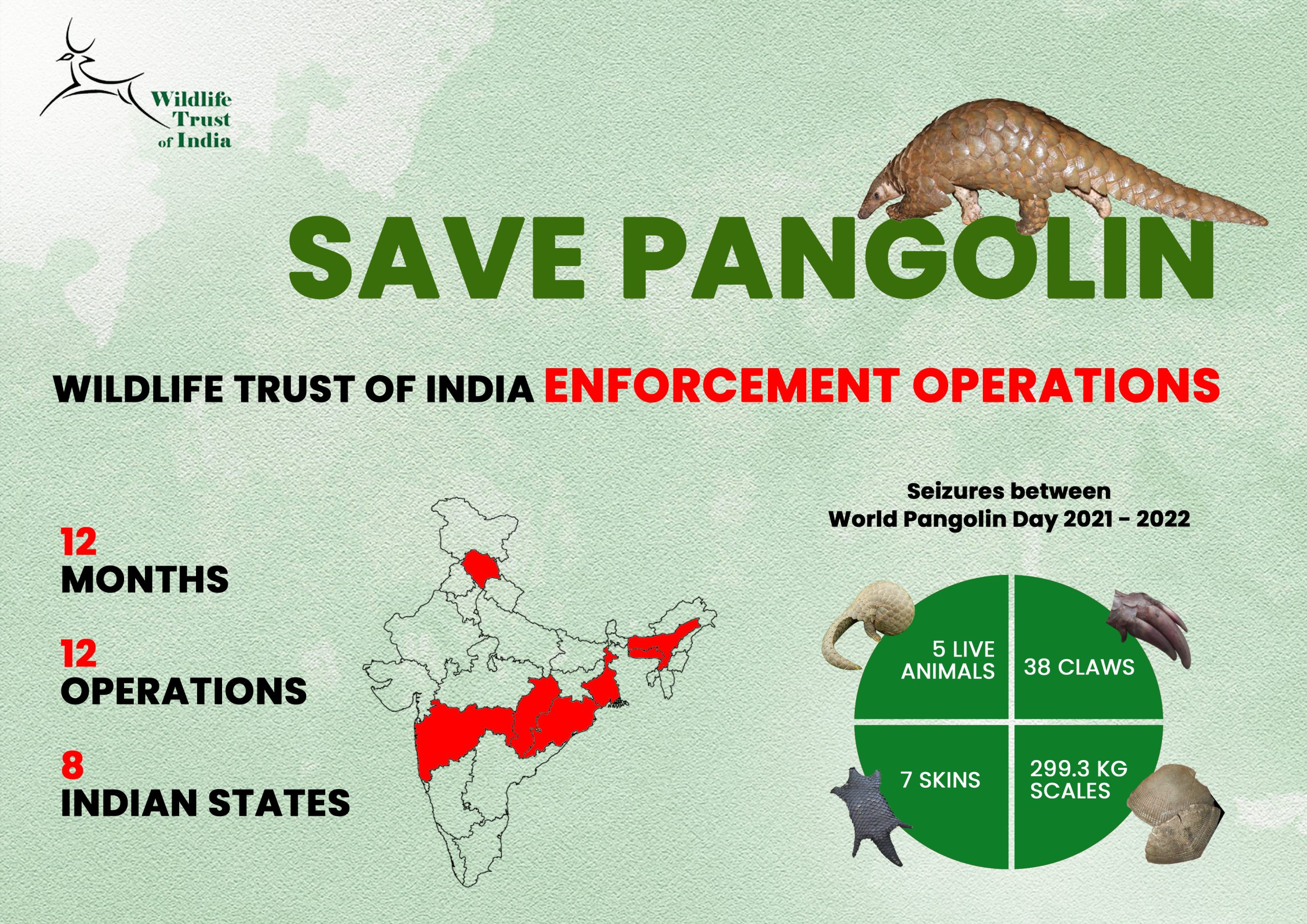World Pangolin Day 2025 Mabel Rosanna
