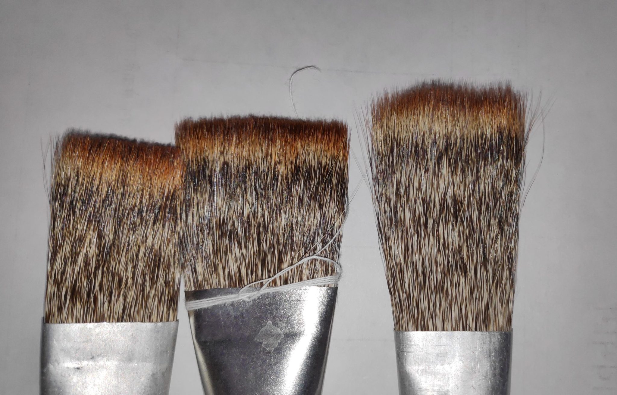 Massacre of the Mongoose Operation to dismantle trade in mongoose hair