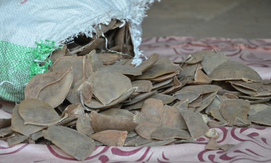 Pan India Enforcement Assistance