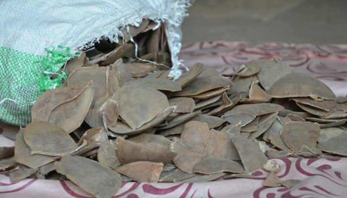 Pan India Enforcement Assistance