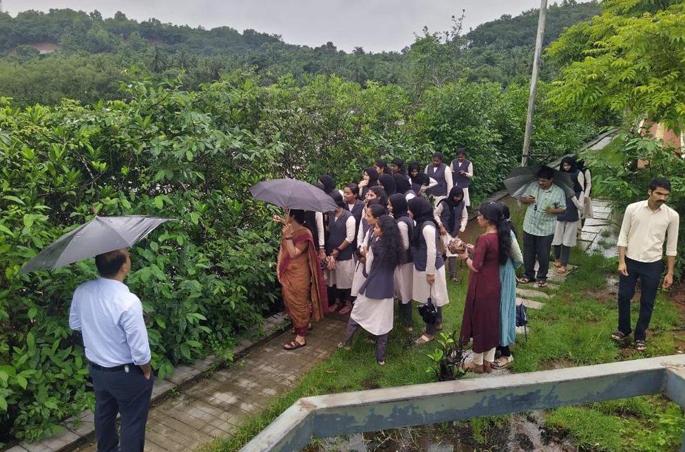 International Mangroves Day