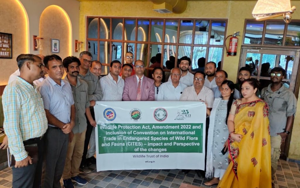 Illegal Wildlife Trade