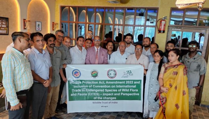 Illegal Wildlife Trade