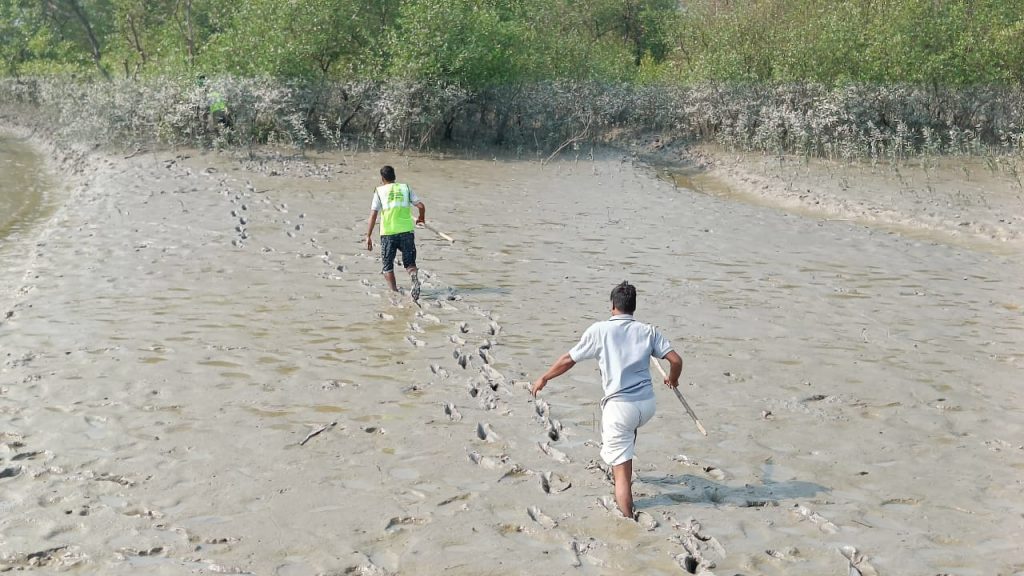 WTI's RRT team tracking tiger in the Sundarbans