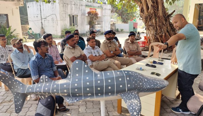 satelite tagging of whale shark