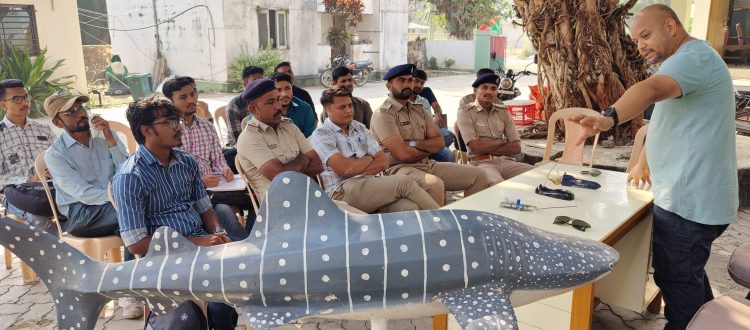 satelite tagging of whale shark