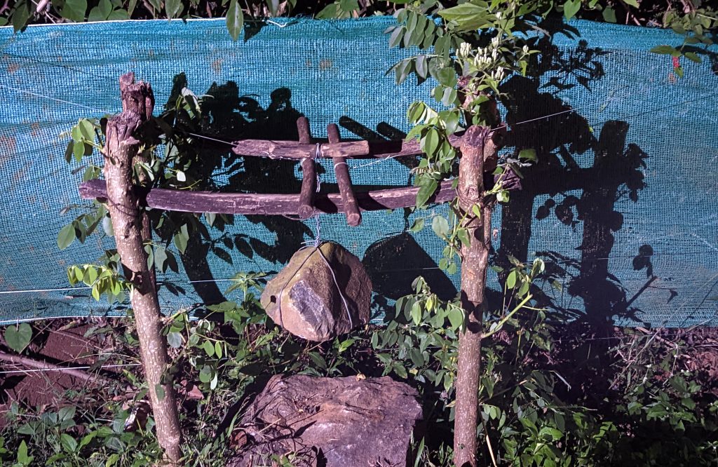 elephant warning system