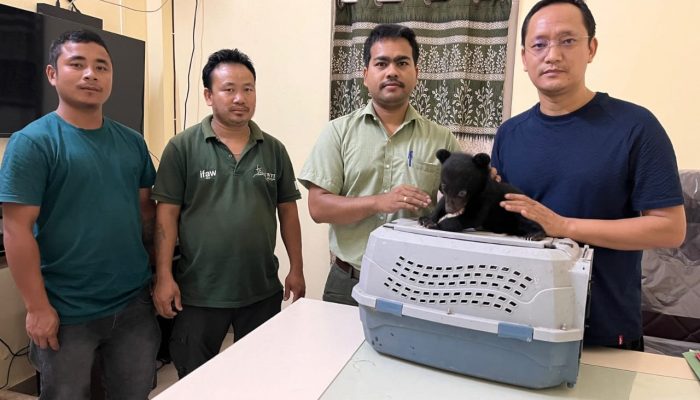Asiatic black bear cub handed over to CBRC