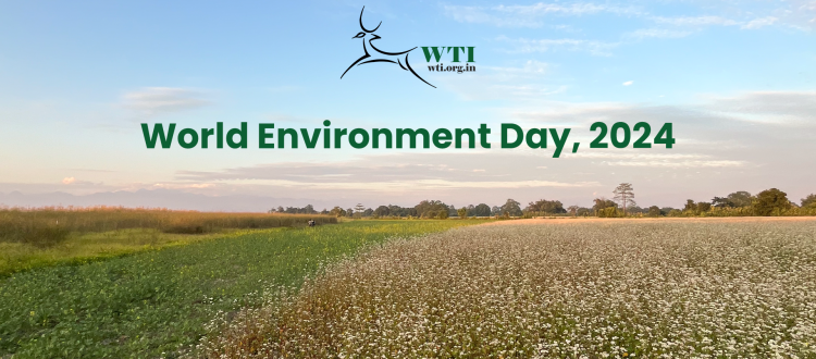 World Environment Day