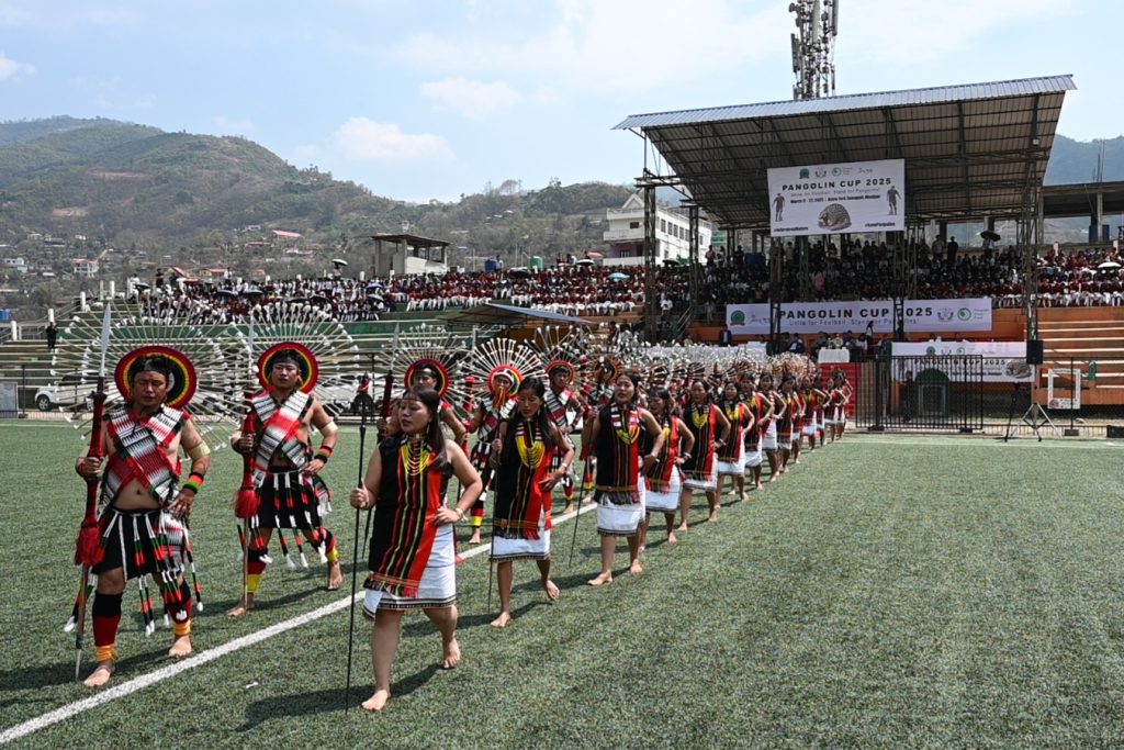 Pangolin Cup 2025