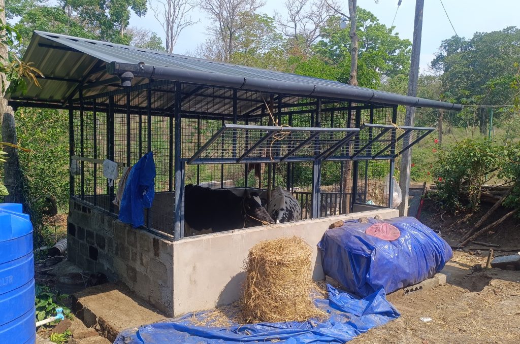 Predator-proof livestock shelter