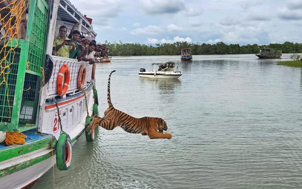 Sundarbans