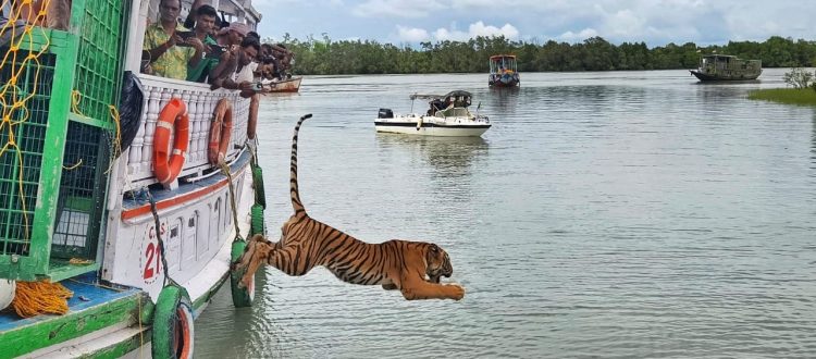 Sundarban